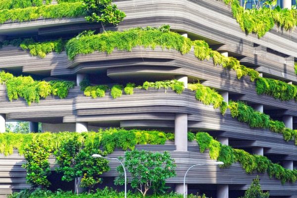 “Green” Buildings and Other Eco-Friendly Trends in Architecture